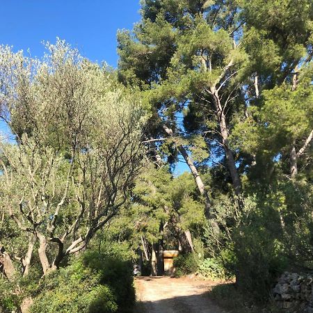 Les Pins Apartment Le Castellet  Bagian luar foto