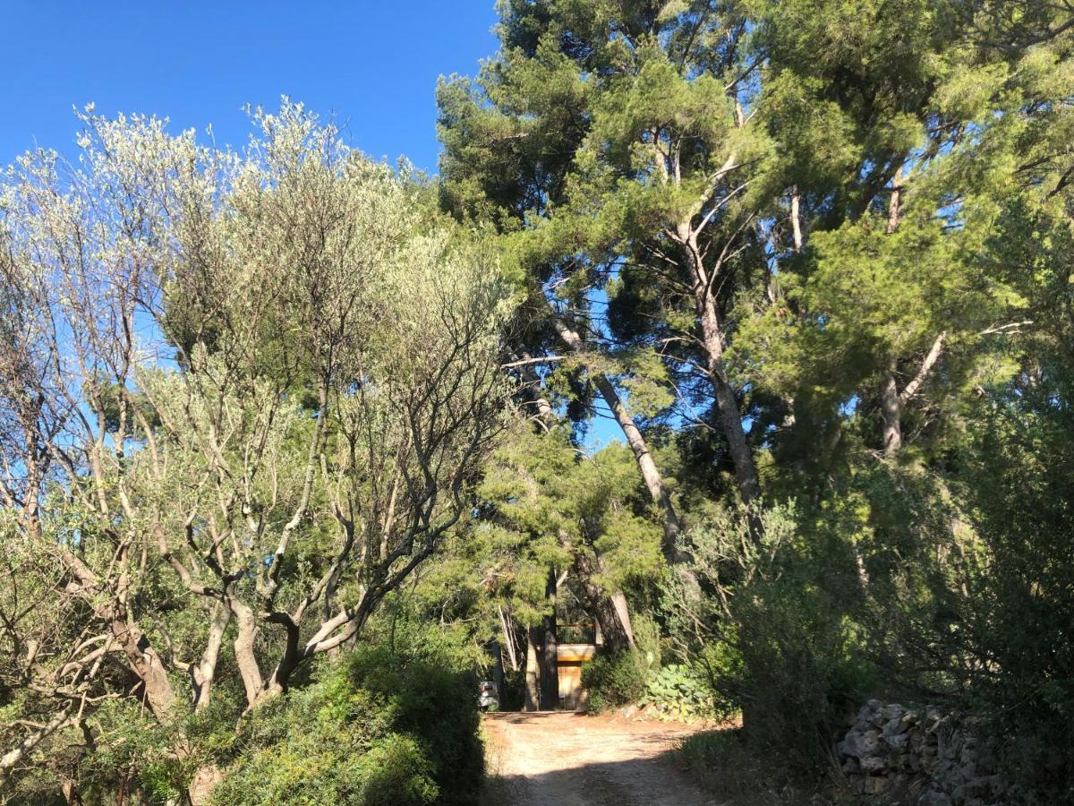 Les Pins Apartment Le Castellet  Bagian luar foto
